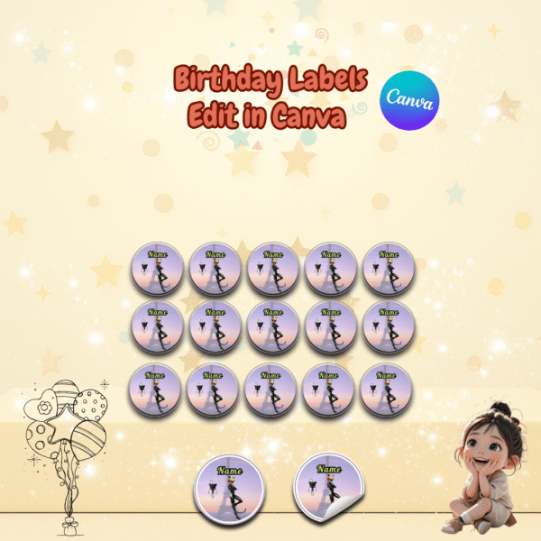 Cat Noir Party Decorations Kit - Image 5